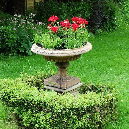 Bed and Breakfast Three Ivy Cross à Shaftesbury Extérieur photo