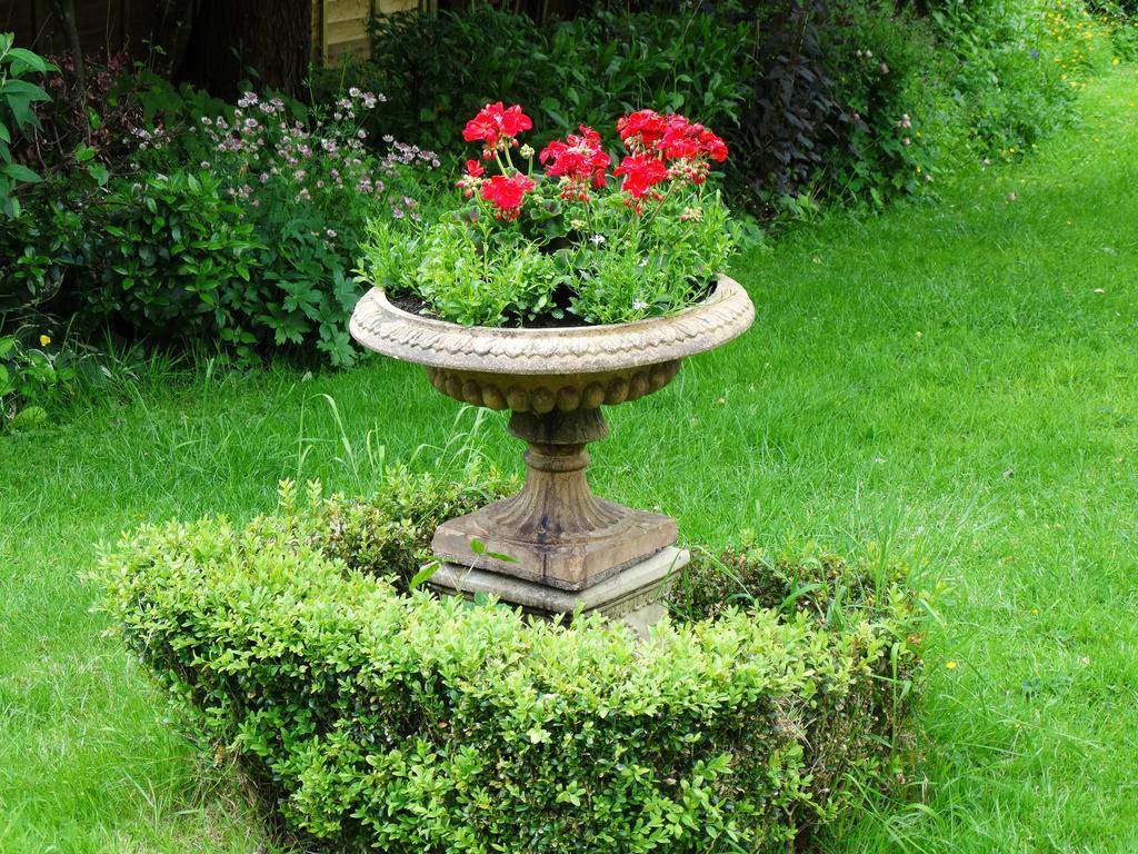 Bed and Breakfast Three Ivy Cross à Shaftesbury Extérieur photo